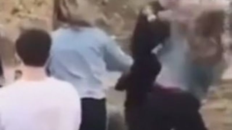 ABD polisinden kadına yumruk