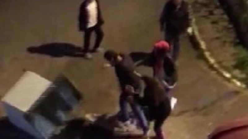 Hayvan kulübelerini tekmeleyerek kaldırdı