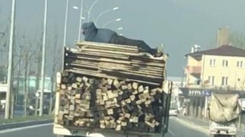 Kamyon kasasında tehlikeli yolculuk