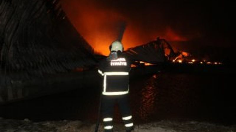 Adana’da narenciye paketleme tesisinde yangın