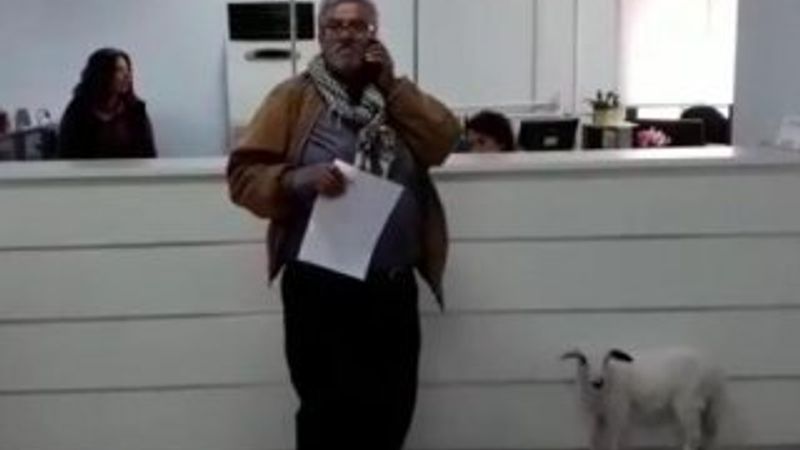 Vergi dairesine kuzusuyla geldi