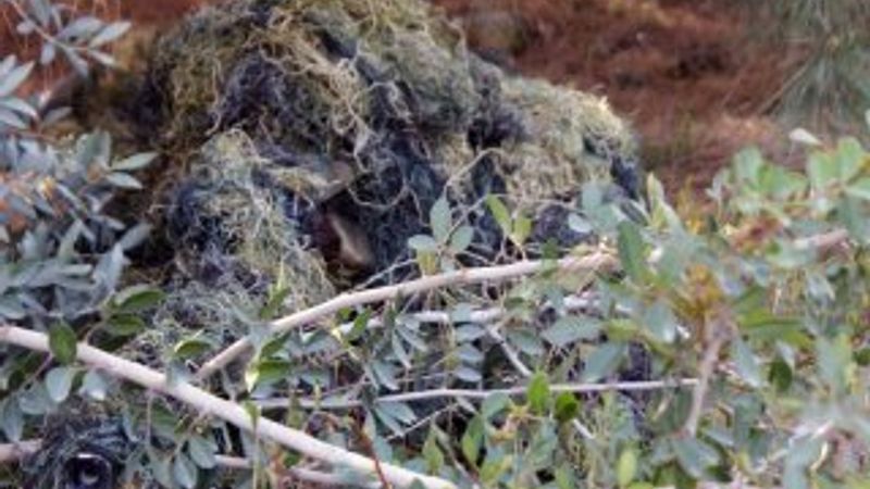 TSK'nın keskin nişancısı görülmeden gördü