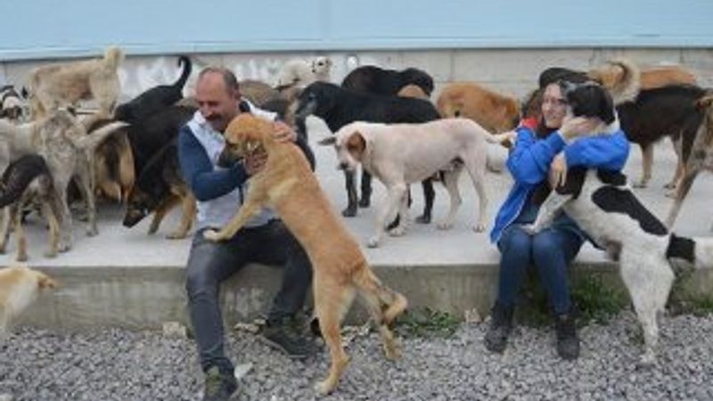 Emekli maaşlarını sokak hayvanlarına harcıyorlar
