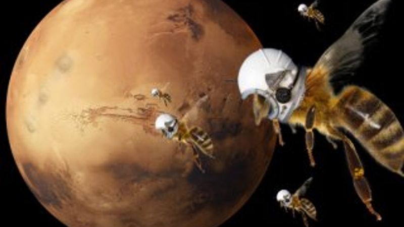 NASA robot arılar ürettiğini duyurdu