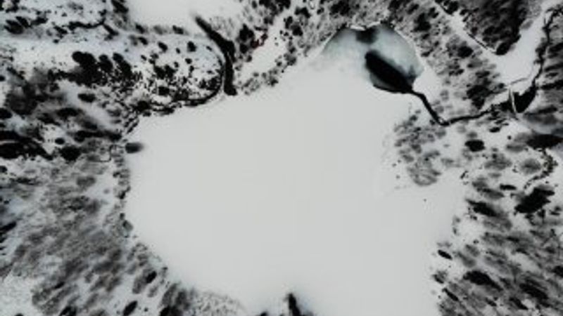 Karagöl'e bahar gelmedi