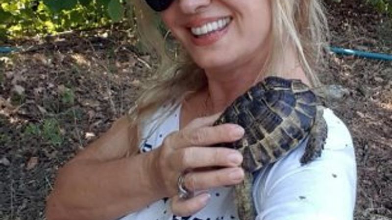 Kaplumbağasını bulanı 1000 lira ile ödüllendirecek