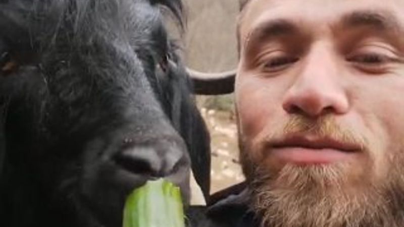 Rizeli gencin keçileriyle diyaloğu güldürdü