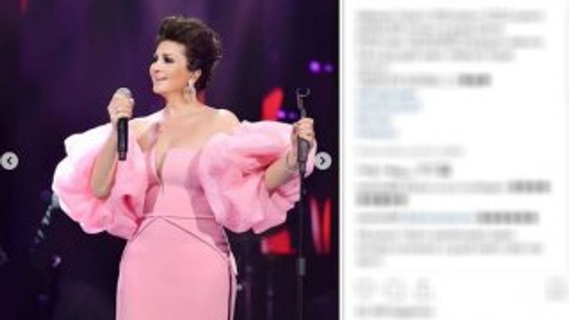 Sibel Can pembe elbisesiyle hayranlarını büyüledi