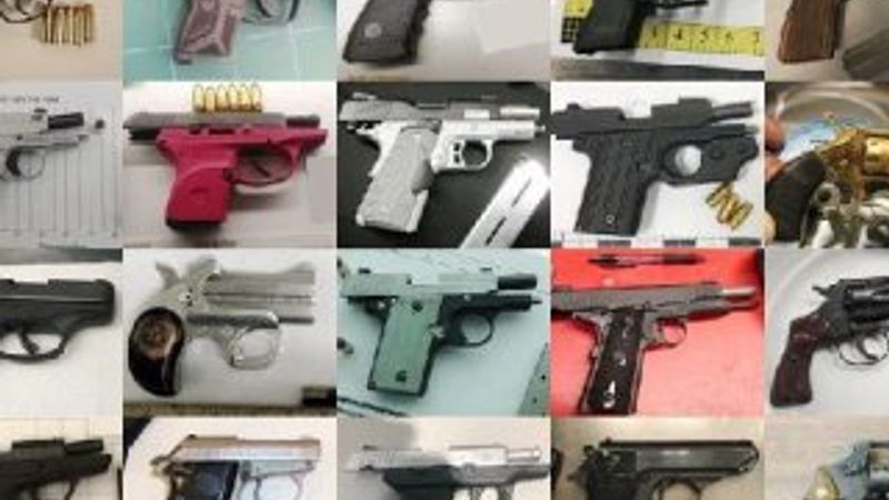 ABD’de yolcuların bagajlarından çıkanlar