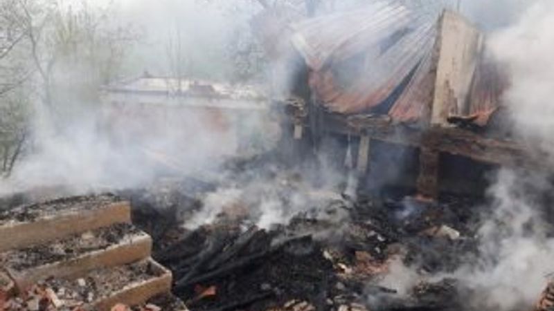 Yangında 30 hayvan telef oldu