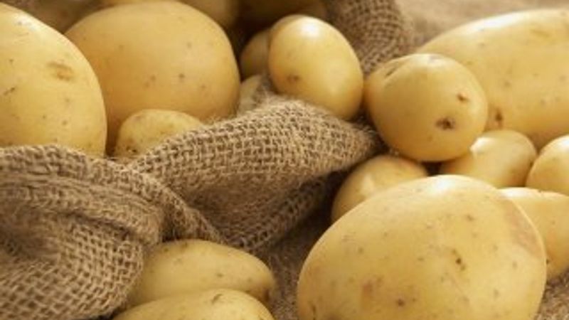 Patateste 'sıfır gümrük vergisi' uygulaması uzatıldı