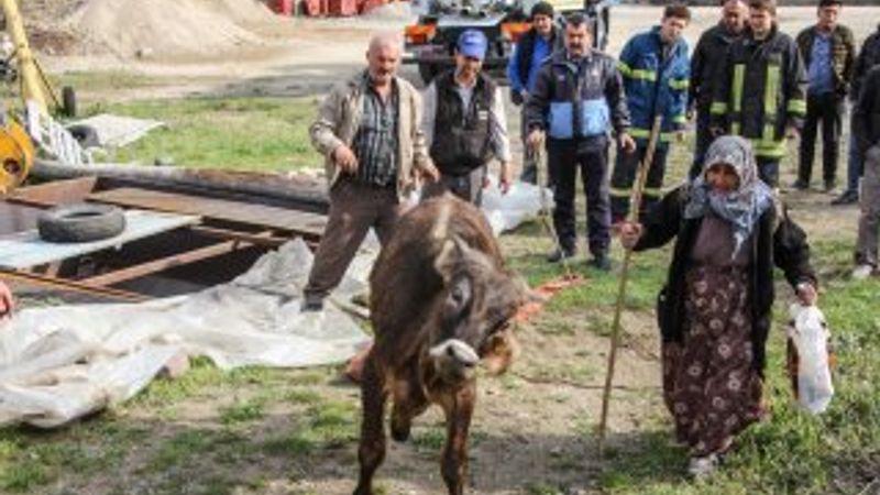 Mahsur kalan dana için seferber oldular