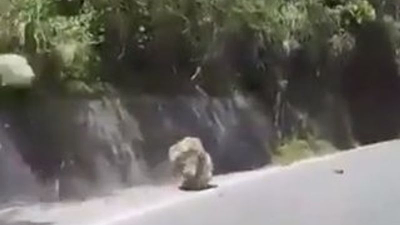 Tayvan'da kaya araçların üstüne düştü