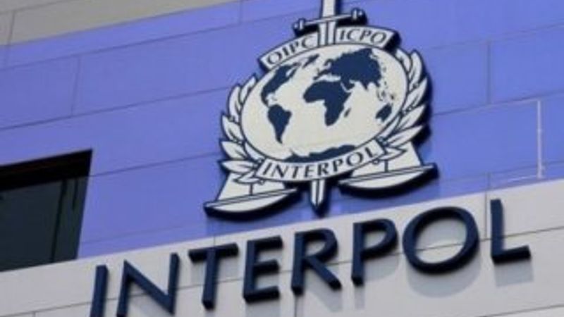 Interpol nedir