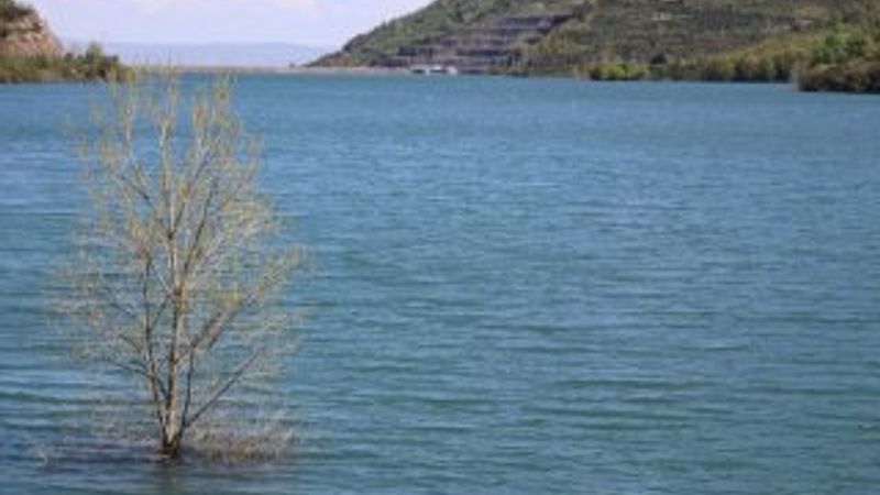 Kocaeli'de yağan yağmurlar barajları doldurdu