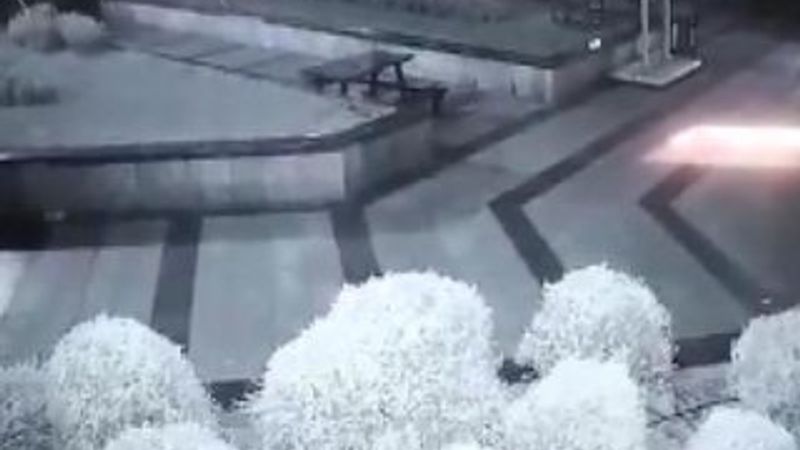 Kedilere şiddet uygulayan şahıs kameraya yakalandı