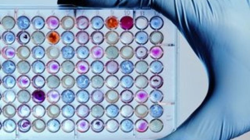 Araştırmacılar organik moleküllerde veri depolamayı başardı