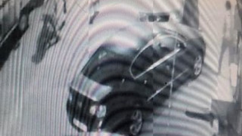 Esenyurt'ta pitbull dehşeti kamerada