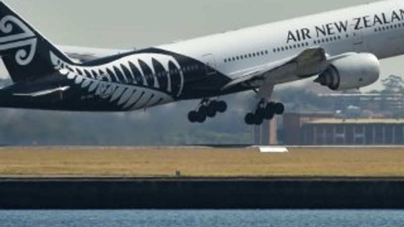 Güvenlik talimatlarını dinlemeyen kadın, uçaktan atıldı