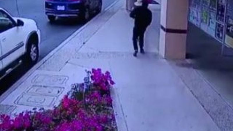 Çantasını kaptırmamak isterken hayatını kaybetti