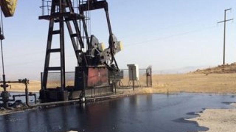 Petrol rezervi yüksek ülkelerin durumu