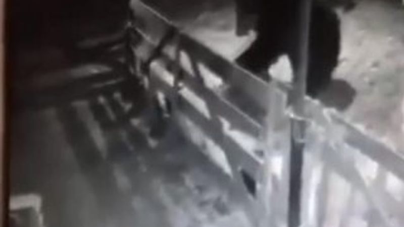 Kosova’da gündem ayı