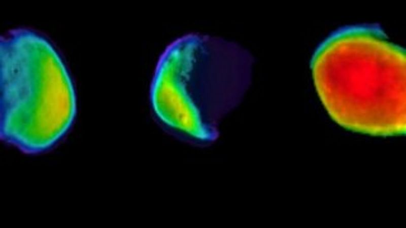 NASA, Mars’ın uydusunu görüntüledi