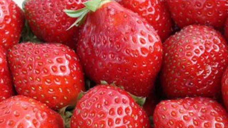 Ruslar çilekleri yine iade etti