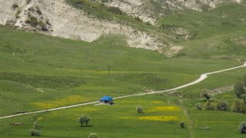 Tunceli düzlükleri yeşile büründü
