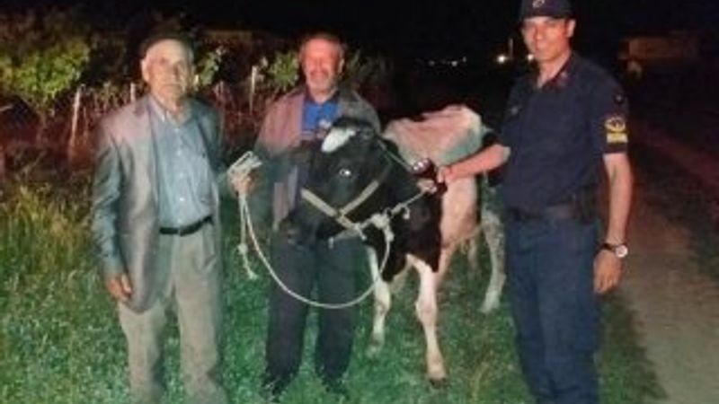 Alkol almak için babasının ineğini çaldı