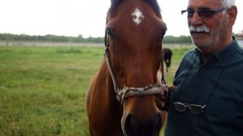 60 yıldır şampiyon atları yetiştiriyor