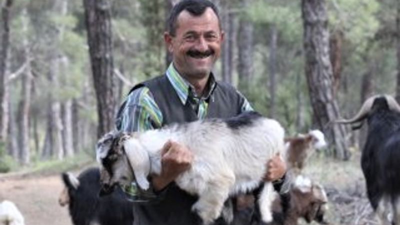 Şehri bırakıp ormana yerleşti