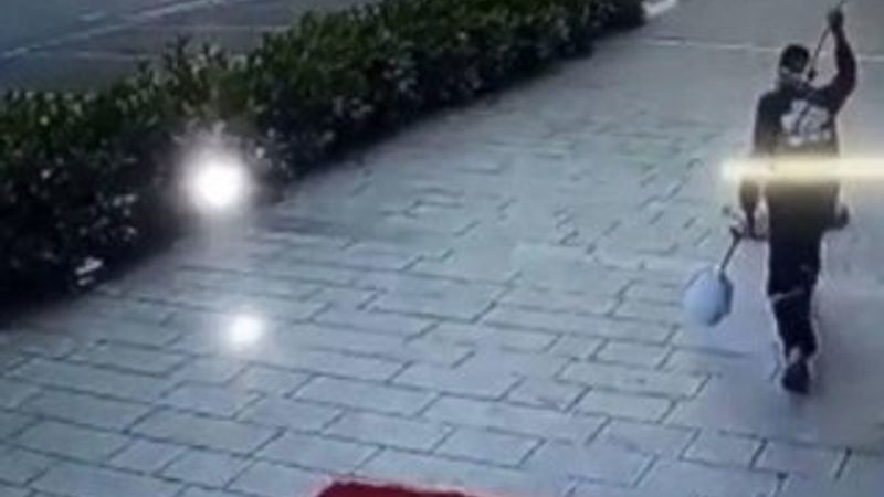 Uyuyan köpeğe süpürgesiyle acımasızca vurdu