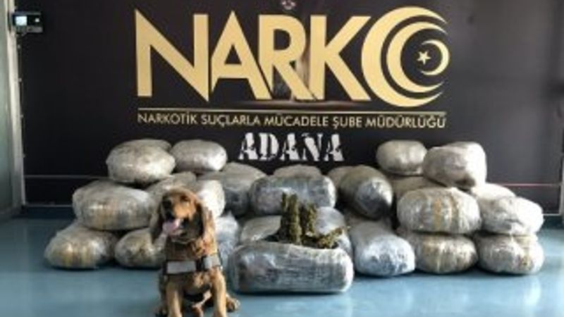 Adana’da 250 kilo esrar polise takıldı