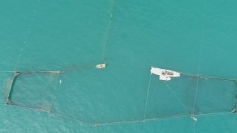 İstanbul’un son dalyanı