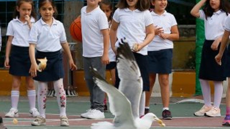 Teneffüs arası martı besleme nöbeti