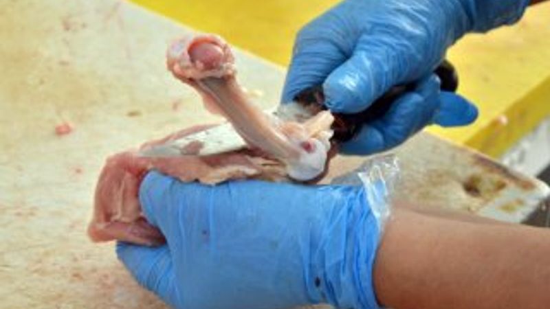 Tavuk fiyatı son üç ayda yüzde 50 arttı