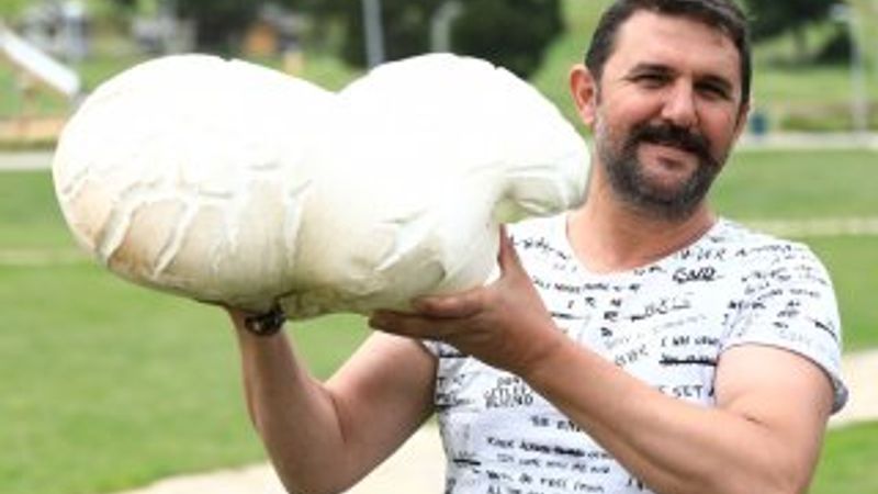 Denizli'de 7 kiloluk dev mantar bulundu