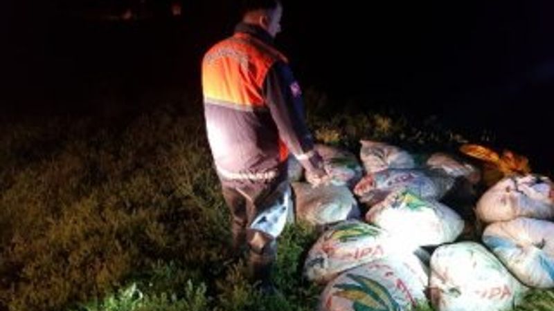 Kaçak avlanan 10 ton inci kefali ele geçirildi