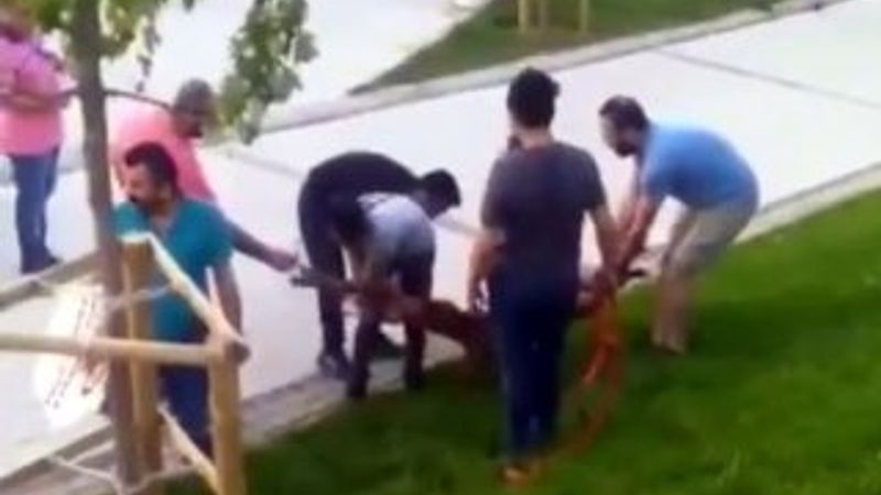 Pitbull gördüğü başka bir köpeğe saldırdı