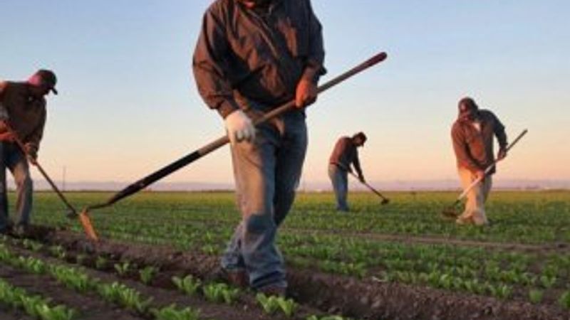 170 bin çiftçiye ödemeler bugün yapılacak