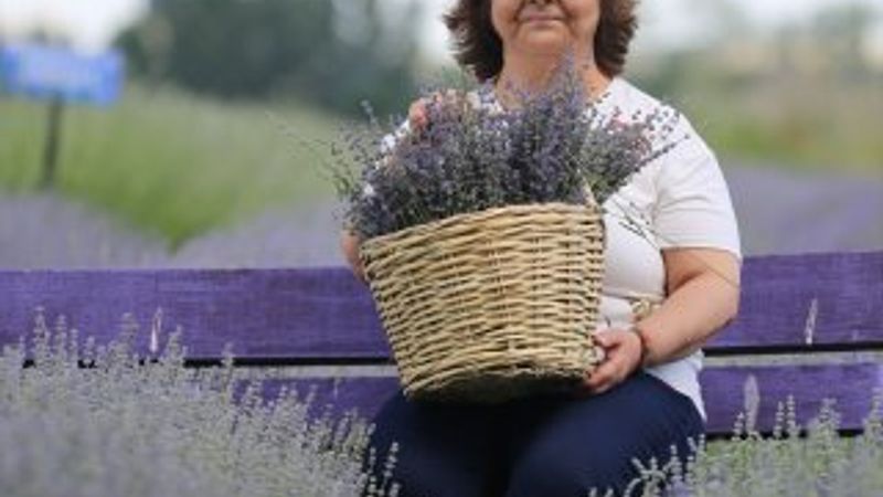 Edirne, Lavanta Tarla Günleri'yle hareketlenecek