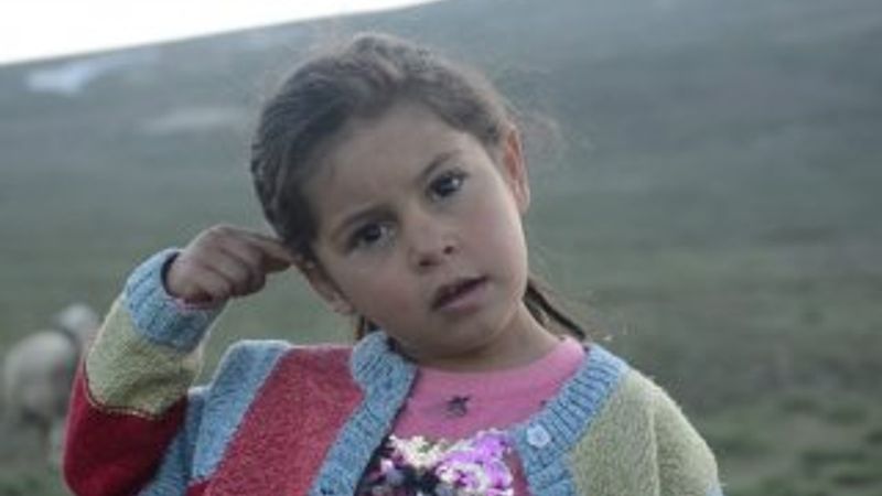 Erciyes Dağı'nda zorlu yayla hayatı başladı