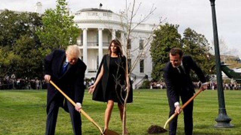 Trump ile Macron'un fidanı kurudu