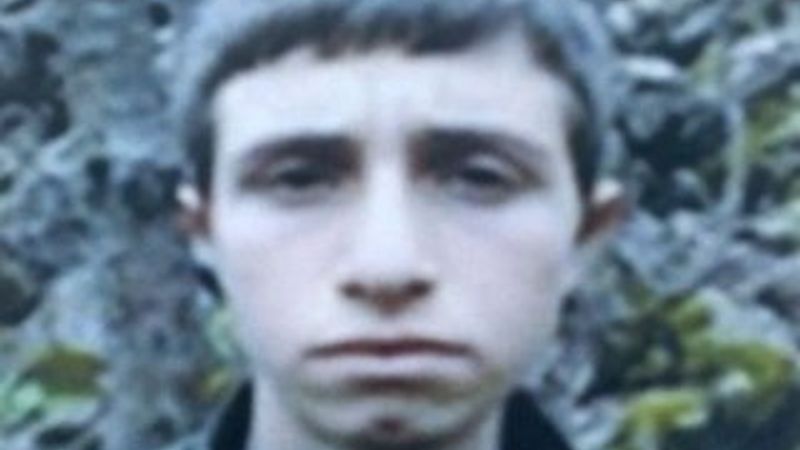 Gri listede aranan terörist Lice'de öldürüldü