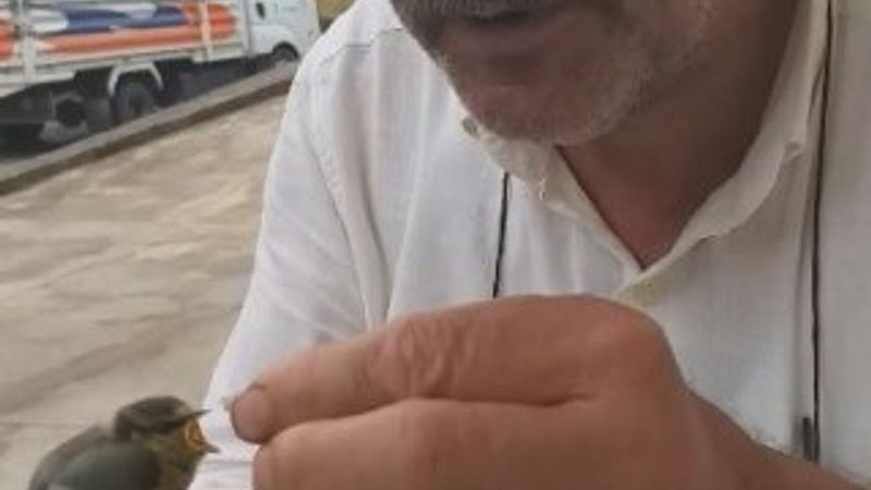 Rizelinin kuş sevgisi kamerada