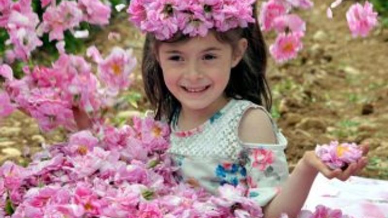 İlk gül yağının kilosu 9 eurodan satışa sunuldu