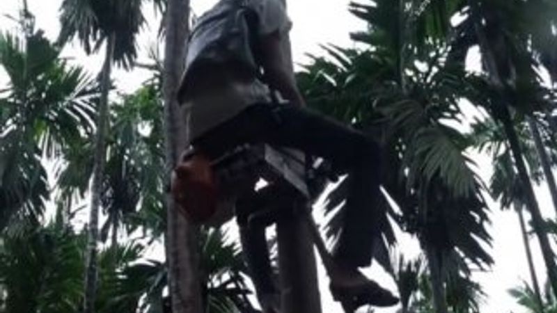 Hint çiftçi ağaç asansörü yaptı