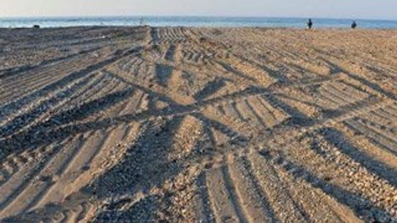 50 yuva olan caretta caretta kumsalı tarla gibi sürüldü