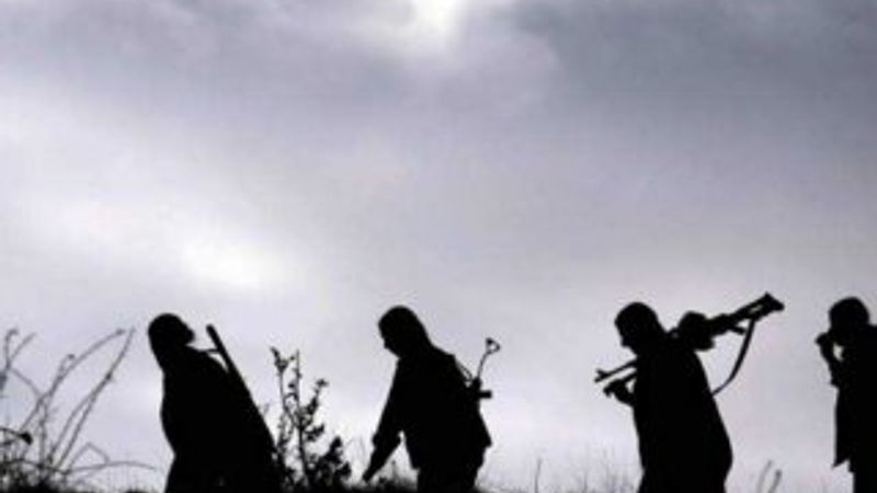 Bitlis’te bir terörist etkisiz hale getirildi